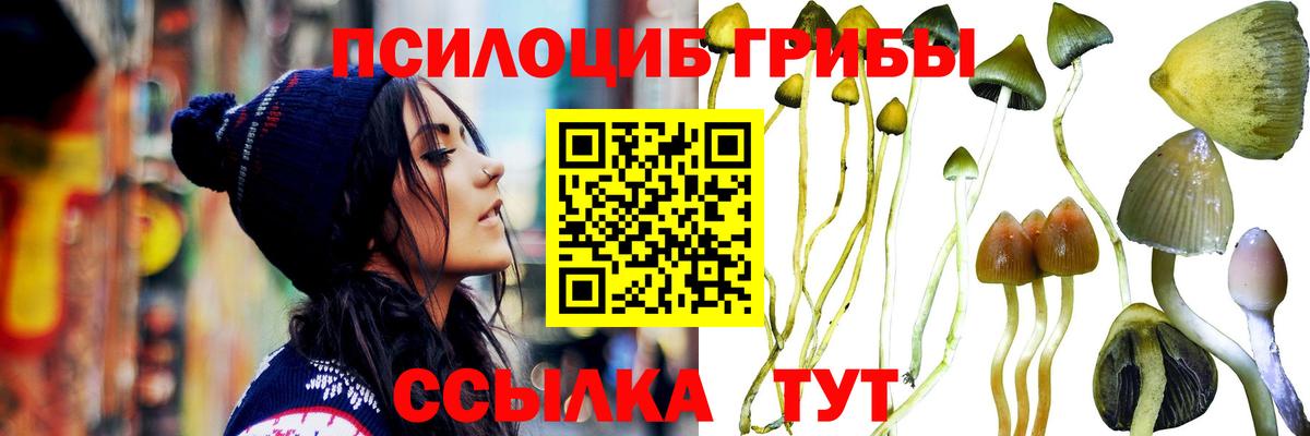Псилоцибиновые грибы GOLDEN TEACHER  Галлюциногенные грибы ЛСД  Топки  Вход с VPN 